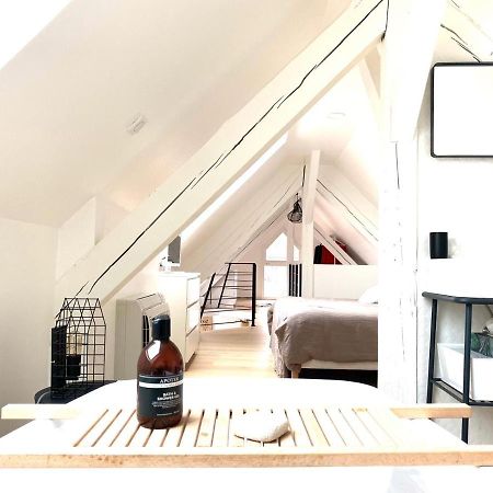 La Cle Des Toits Apartment Colmar Ngoại thất bức ảnh